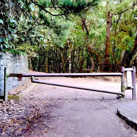 Casa Mela 2 *